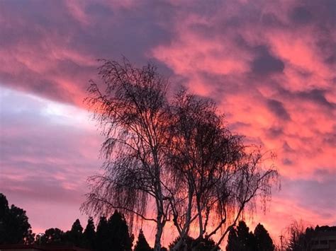 Roiling Pink Sky Photo Of The Day El Cerrito Ca Patch