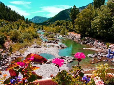 River Forest Flowers Mountains Beautiful Views