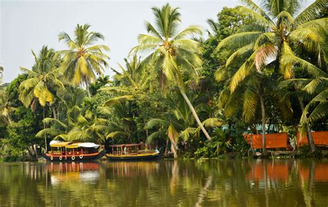 6 Things To Know About Kerala Backwaters Trawell Blog