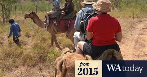 Even as the country rapidly modernizes, the animals remain a central part of. Tourists see camels killed by arrows at Mt Anderson ...