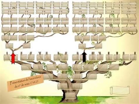 8 x 1.4cm taille des cases à la génération 9 : Le générama est un arbre genealogique vierge | Genealogy ...