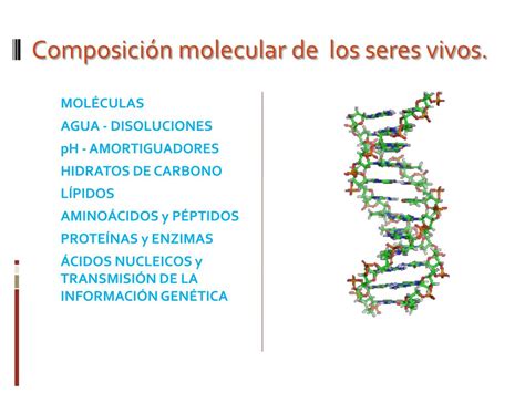 Ppt Bioquímica Estructural Composición Molecular De Los Seres Vivos