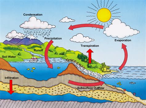 Water Cycle Mr Choi Earth Science Update Coming