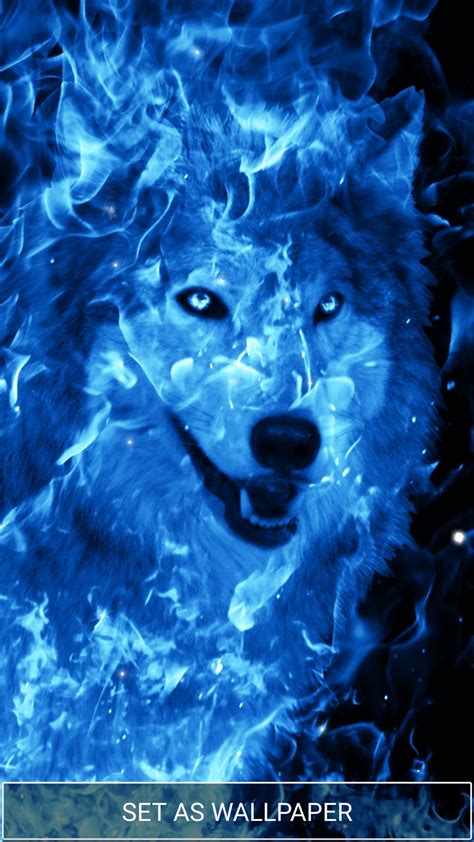 Fire And Ice Wolf Wallpapers On Wallpaperdog