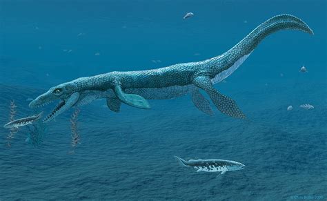Mosasaurus Marine Reptile Photograph By Chris Butler Pixels