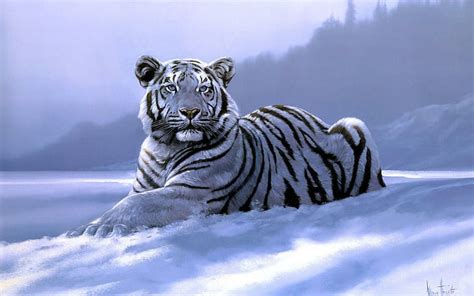 シベリアトラ雪動物 シベリア トラ 雪 動物 HDデスクトップの壁紙 Wallpaperbetter