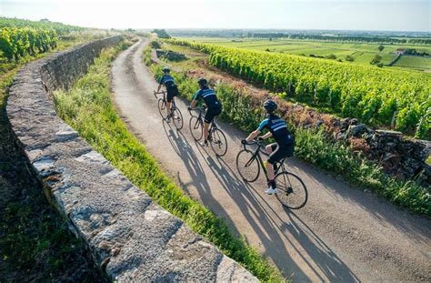 Burgundy Bike Tours Duvine Bike Tour Tours Loire Valley