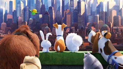 3840x2160 The Secrete Life Of Pets Movie 4k Hd 4k Wallpapersimages