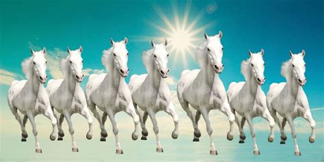 Image Result For Seven Horse Hd Image Seven Horses Painting White