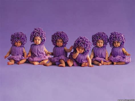 Baby Baby 6 Babies In Purple Clothes