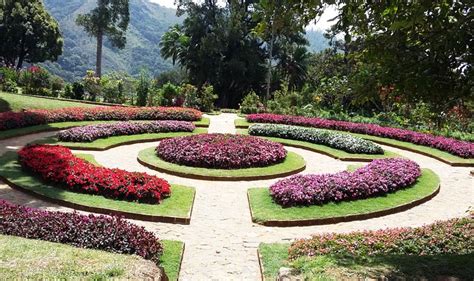 Hakgala Botanical Gardens Sri Lanka Tours And Travel Blog
