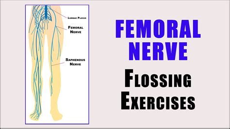 Nerve Glides Flossing Exercises For Femoral Nerve Entrapment Youtube