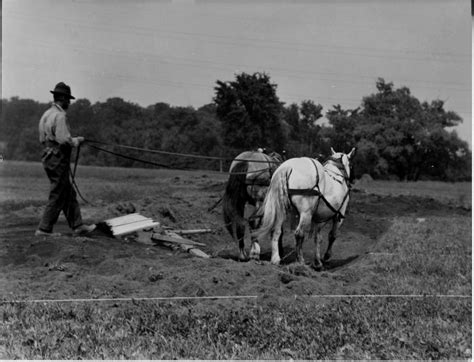 Digital Collections Still Image Plowing Nysaa4436 78b3f1plowing
