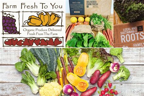 Farm Fresh To You Grocery And Organic Produce Box Delivery Service In