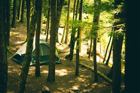 3440x1440 Forest Camping Minimalism Wallpaper Coolwallpapersme