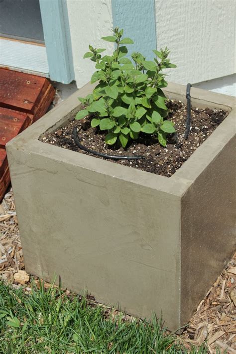 Diy Modern Minimal Concrete Planter Boxes