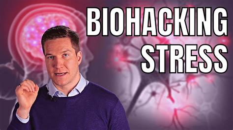 How To Manage Your Stress Effectivelly With Biohacking Tools