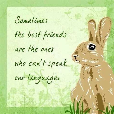 Explore our collection of motivational and famous quotes by authors you know and rabbits quotes. Best friends | Bunny quotes, Bunny mom, Pet rabbit