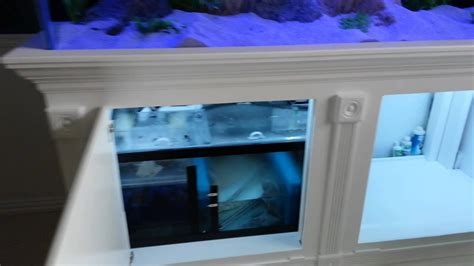 Glass canopies reduce evaporation and allow the maximum amount of light to pass into your aquarium. 210g aquarium custom made stand, canopy and sump - YouTube