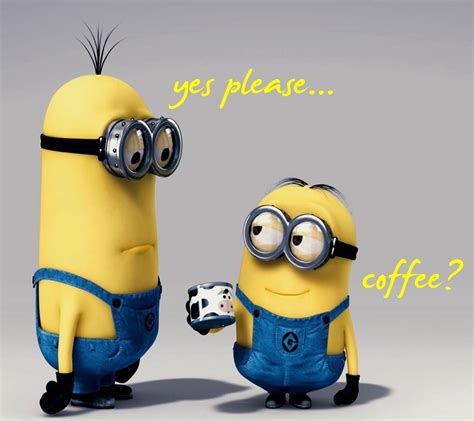 Coffee Minion Wallpapers Top Free Coffee Minion Backgrounds
