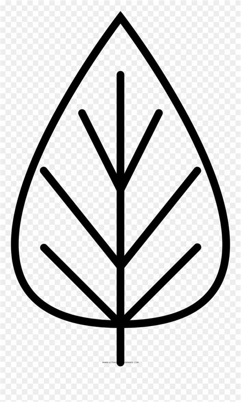 Leaf coloring page coloring pages to print kids series programming for kids 2nd birthday parties birthday ideas creative thinking leaves seasons. Leaf Coloring Pages | Coloringnori - Coloring Pages for Kids