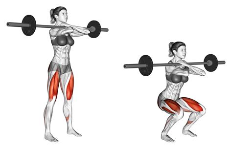 Dumbbell Squat Vs Barbell Squat Whats The Difference Inspire Us