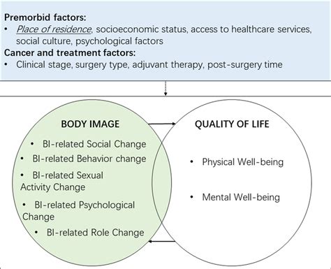 Conceptual Framework Of Associations Between Body Image And Quality Of