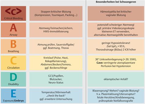 In form einer handlungsanweisung (sop = standard operating procedure) ist es eine schnelle, zuverlässige sowie. Untersuchung der schwangeren Traumapatientin - Traumateam