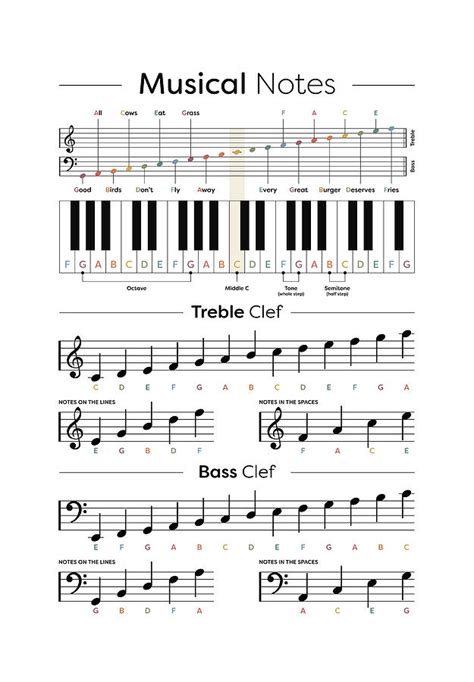 Music Notes Cheat Sheet Music Theory Digital Art By Penny And Horse