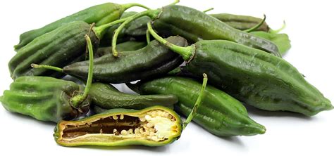 Aji Panca Chile Peppers Information Recipes And Facts