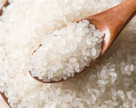 Short Grain White Rice Buy In Bulk From Food To Live