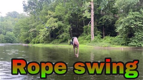 Rope Swing Youtube