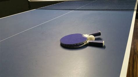 Quelles Sont Les Meilleures Tables De Ping Pong