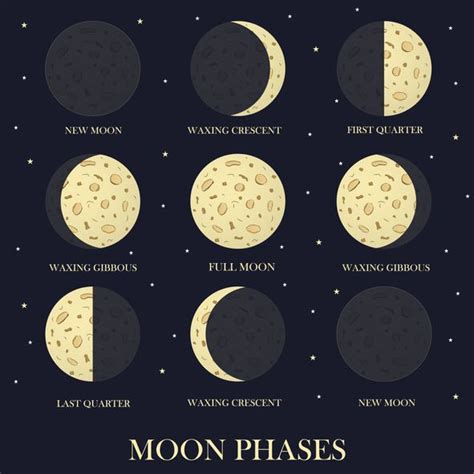 Moon Phases And Astrology Starlies