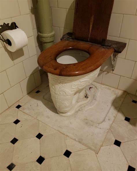 Victorian Toilet Here Is An Amazing Embossed Victorian Elephant Trunk