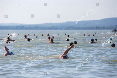 Athlets Professionals Amateurs Swim Cross Lake Editorial Stock Photo