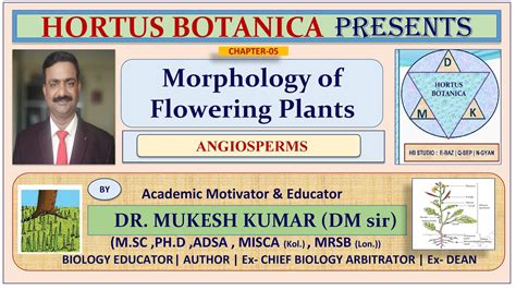 Morphology Of Flowering Plants Angiosperms Characteristics Neet