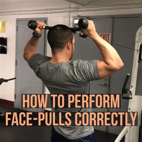 How To Do Face Pulls Correctly And Safely Videos Faqs And Visuals