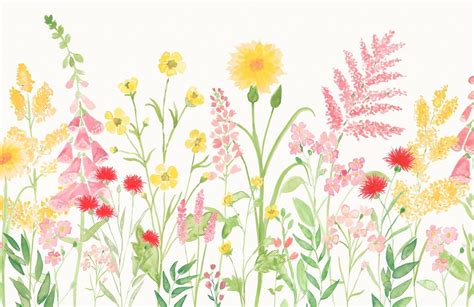 Pink And Green Wildflower Watercolor Wallpaper Mural Hovia Wildflower