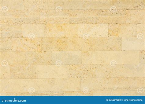Shell Limestone Wall Texture Background Stock Photo Image Of Stone