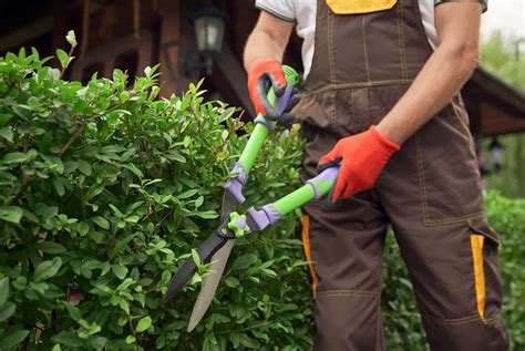 Trugreen Tree And Shrub Care Trugreen