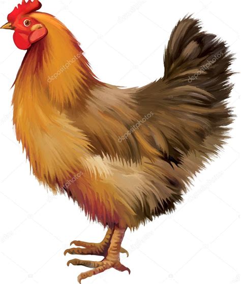 Brown Hen Stock Vector By ©yuliaavgust 37555001