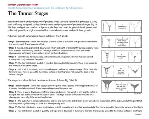 Tannerscale Vdh Because The Onset And Progression Of Puberty Are