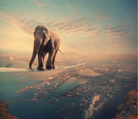 Amazing Surreal Digital Art By Photoshop Training Expert