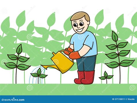 A Gardener Watering Plants With A Watering Can Stock Image Image