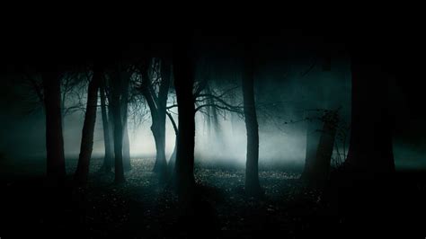 Dark Forest Background Hd Dark Wallpapers Hd Wallpapers Id 69481