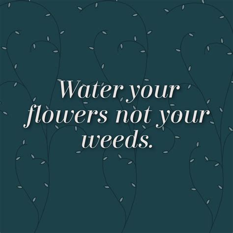 Water Your Flowers Not Your Weeds