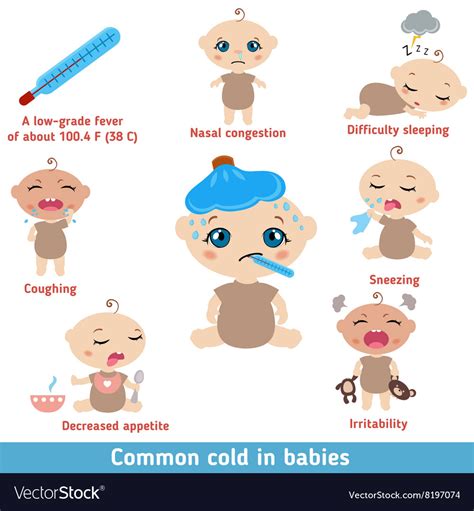 Common Cold In Babies Symptoms Royalty Free Vector Image