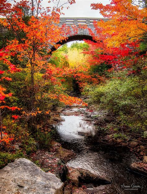 Autumn In Acadia National Park National Parks Photography National