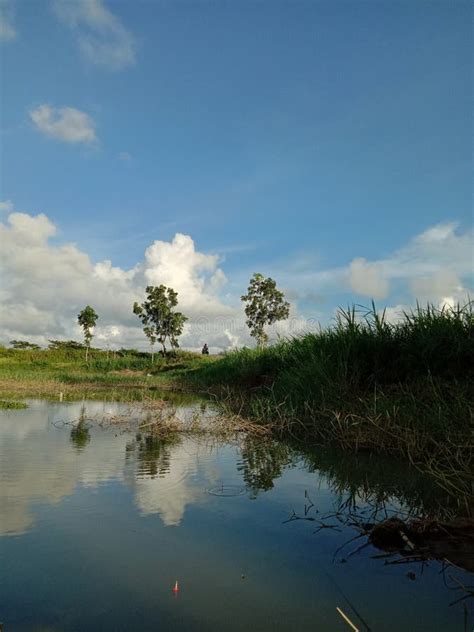 A Small Lake Near Rice Fields And A River In Bunder Banaran Galur
